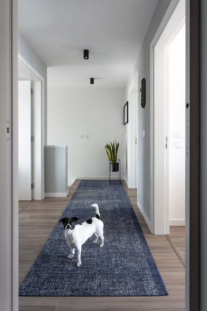 Photograph of the Luxury Architecture In Portugal 1 project developed by CW Arquitetura in Portugal.